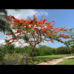 Meet your Posher, Phill